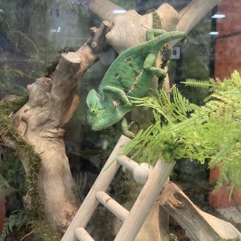 PetSmart - Pet Stores Near Me - West Covina, California PetSmart - Pet Stores Near Me - West Covina, California