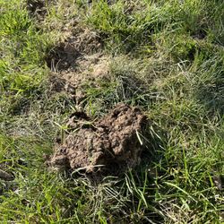 Turf Masters Lawn Care