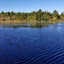 Cranberry Bog County Park