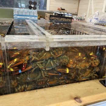 Bar Harbor Lobster Pound - Seafood Near Me - Bar Harbor, Maine