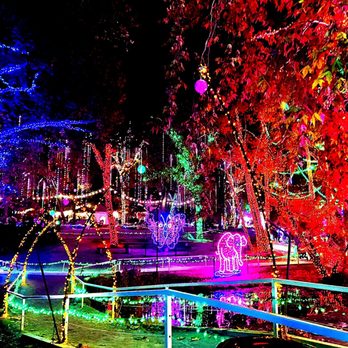 HOLIDAY LIGHTS AT C.A.L.M. - Updated December 2024 - 194 Photos 