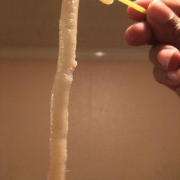 a hand holding a toothbrush and a tube of toothpaste a hand holding a toothbrush and a tube of toothpaste