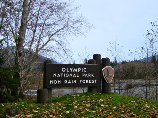 Hoh River Trailhead by null