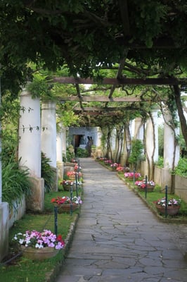 Villa San Michele by null