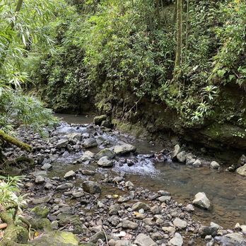 Pipiwai Trail - Hiking Near Me - Hana,, Hawaii Pipiwai Trail - Hiking Near Me - Hana,, Hawaii