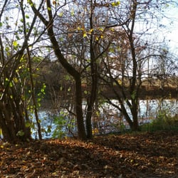 Hundesee