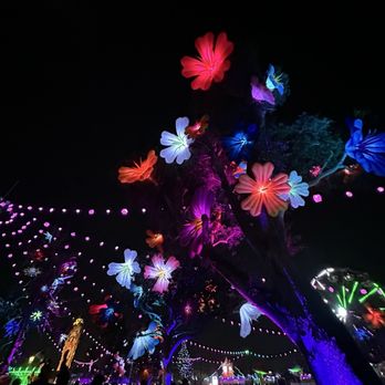 Beyond Wonderland - Performing Arts Near Me - San Bernardino, California Beyond Wonderland - Performing Arts Near Me - San Bernardino, California