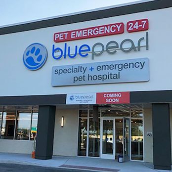 Pet Clinic Vet Emergency 24 Hour Near Me Vet Care Nearest 24 Hour