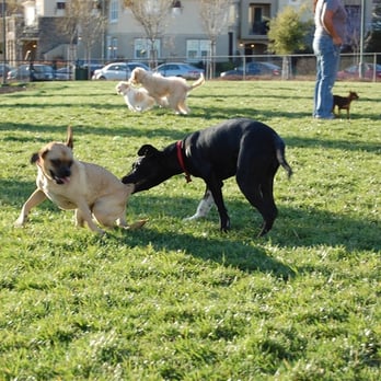 Bray Commons Park - Parks Near Me - Dublin, California Bray Commons Park - Parks Near Me - Dublin, California