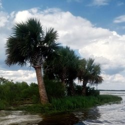 Wakulla Beach