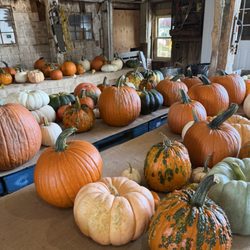 Stone Mountain Farm