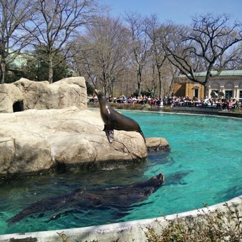 Bronx Zoo - seal show - Zoos Near Me - Bronx, New York