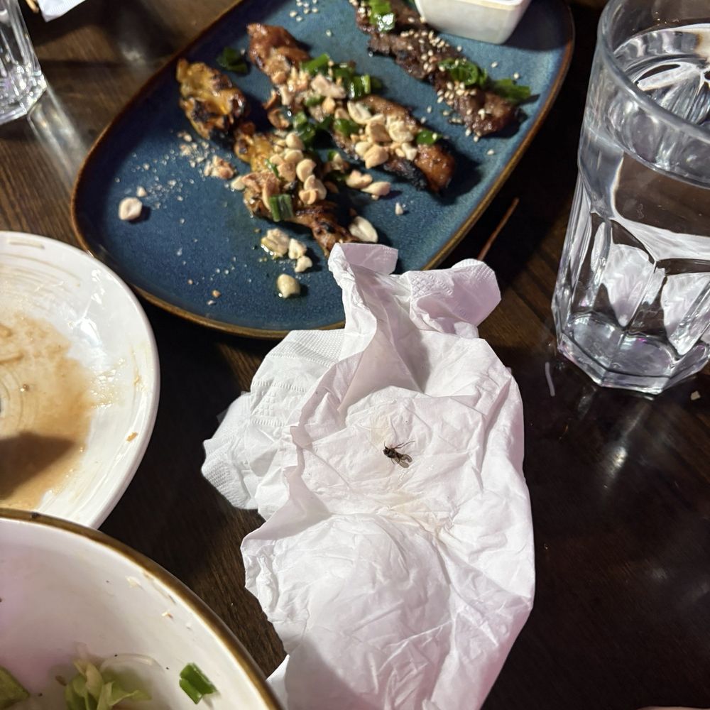 Don't know what to said, but there was a fly always around the table, and were couple of more smaller flies too. Don't know what to said, but there was a fly always around the table, and were couple of more smaller flies too.