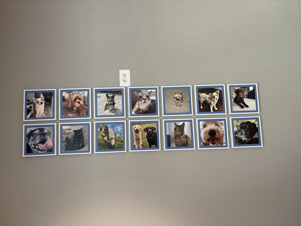 Meadowcrest Veterinary Hospital Image