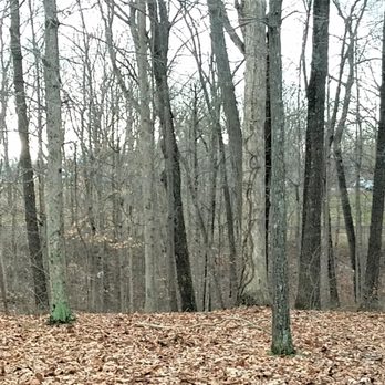 Murray Forest Park - woods across from the shelter - Parks Near Me - Bedford, Indiana Murray Forest Park - woods across from the shelter - Parks Near Me - Bedford, Indiana