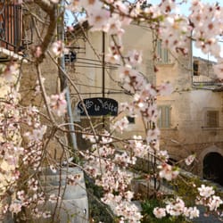 Sotto Le Volte - SOTTO LE VOLTE in primavera SOTTO LE VOLTE in spring