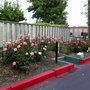 Riverdeck Apartments