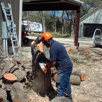 Adrean's Tree Service - Tree Services Near Me Adrean's Tree Service - Tree Services Near Me