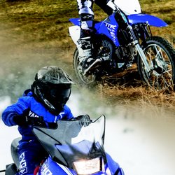 Quad Expert