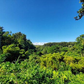 Akaka Falls State Park - View from the parking lot. - Parks Near Me - Honomu, Hawaii