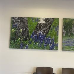 UCHealth Urgent Care - Circle Square - Decor