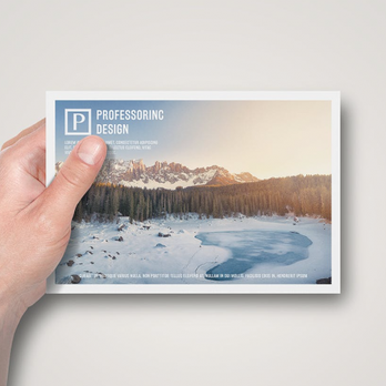 Panda Print Media - Printing Services Near Me - Miami, Florida