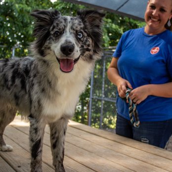 Taurus Academy Burnet - Pet Training Near Me - Austin, Texas Taurus Academy Burnet - Pet Training Near Me - Austin, Texas