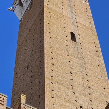 Piazza del Campo - Local Flavor Near Me - Siena, SI