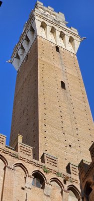 Piazza del Campo by null Piazza del Campo by null