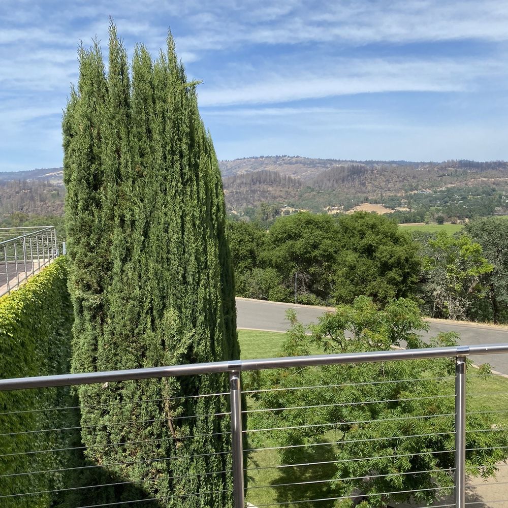 Vineyard 29 - Wineries Near Me - Saint Helena, California