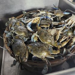 Nissi’s Holy Crabs - This is a hole bushel !!