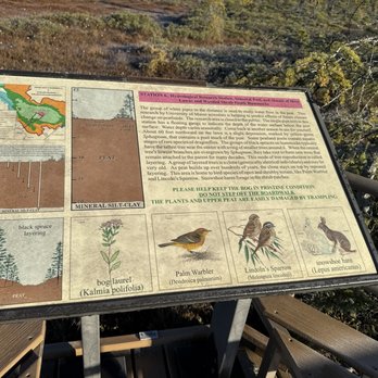 Orono Bog Boardwalk - Parks Near Me - Bangor, Maine