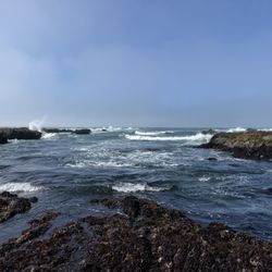 MacKerricher State Park - Beautiful