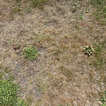 Greenworks - Pest Control Near Me - Plant City, Florida Greenworks - Pest Control Near Me - Plant City, Florida