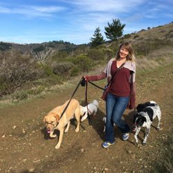 Dog Day Alameda