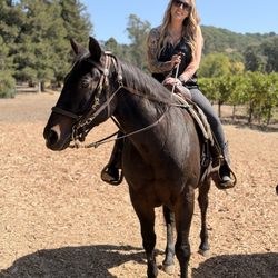 Sonoma Valley Trail Rides - Such a memorable experience!