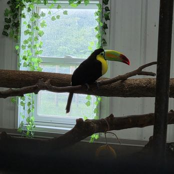 Aikman Wildlife Adventure - Parks Near Me - Arcola, Illinois