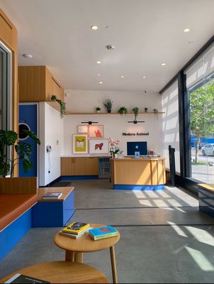 Modern Animal by null