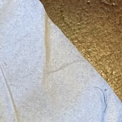 Tequilas Bar & Grill - Hair on napkin from food