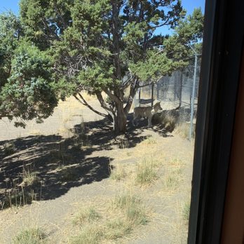 Animal Ark - Zoos Near Me - Reno, Nevada