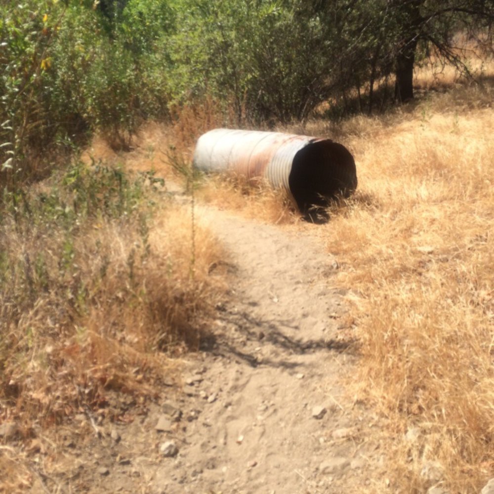 Elsmere Canyon - Hiking Near Me - Santa Clarita, California