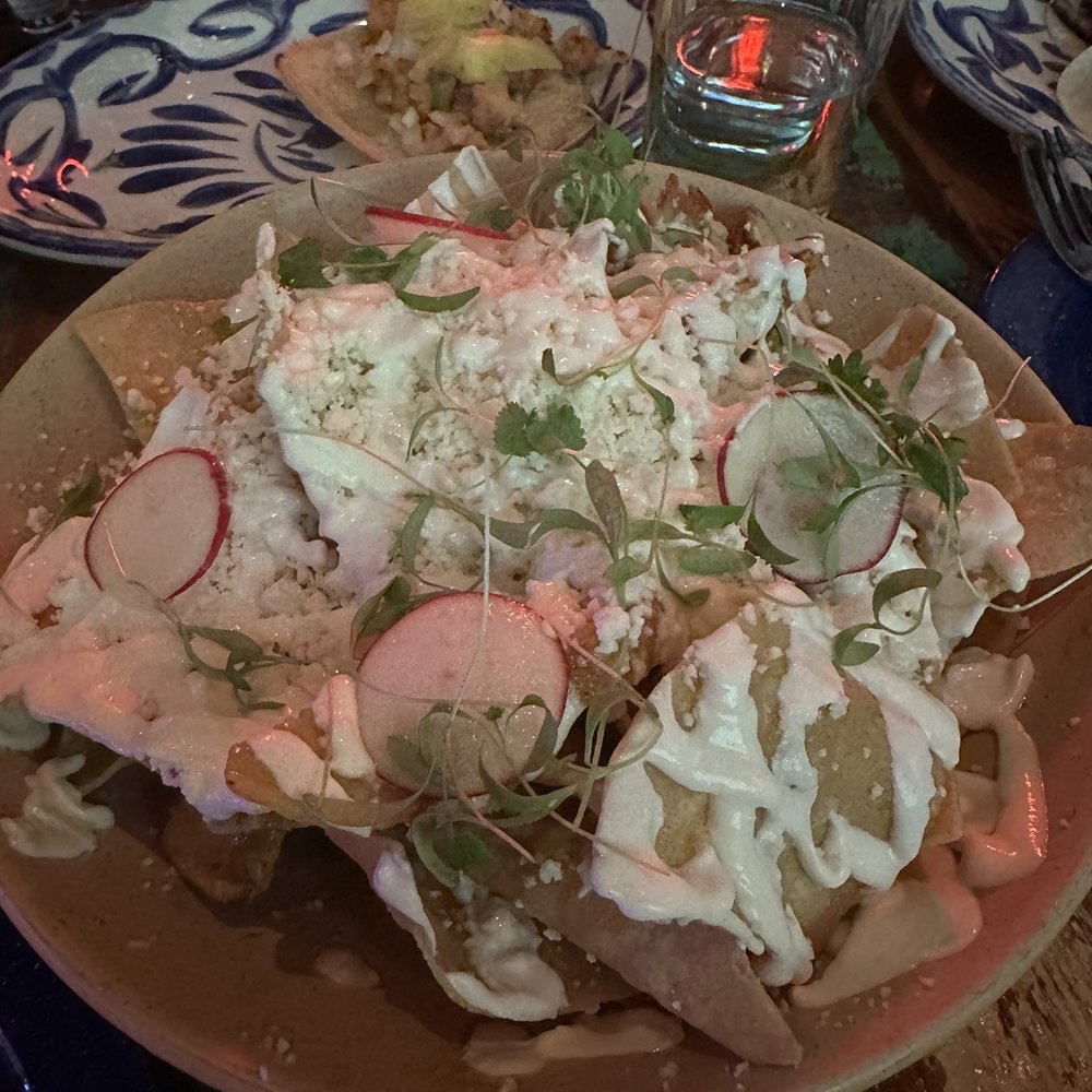 Tacology - Chilaquiles - Mexican Near Me - Miami, Florida Tacology - Chilaquiles - Mexican Near Me - Miami, Florida