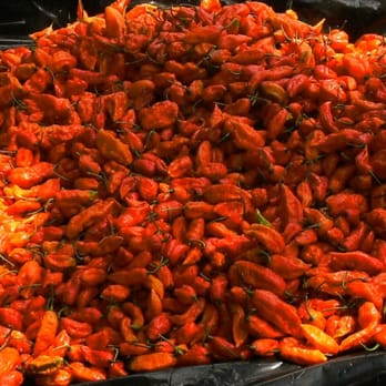 ghostpepperfarms inc. - a large pile of ghost peppers - Herbs & Spices Near Me - Citrus Springs, Florida ghostpepperfarms inc. - a large pile of ghost peppers - Herbs & Spices Near Me - Citrus Springs, Florida