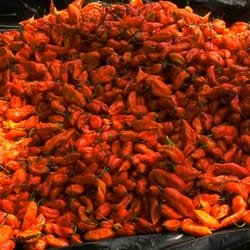 ghostpepperfarms inc.