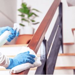 Mustard Seed Cleaning