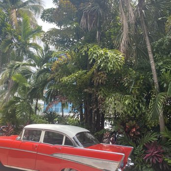 Moreno's Cuba - Cocktail Bars Near Me - Miami Beach, Florida
