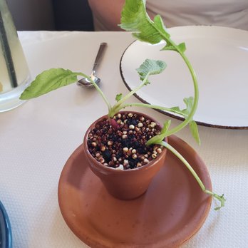 Zero Restaurant + Bar - New American Near Me - Charleston, South Carolina Zero Restaurant + Bar - New American Near Me - Charleston, South Carolina