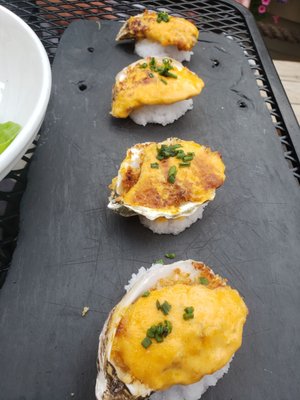 Brine Oyster • Crudo • Chops by null