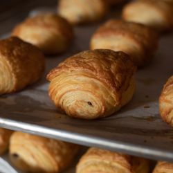 Wild Leaven Bakery - Freshly baked chocolate croissants