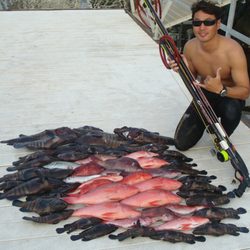 HammerHead Spearguns - Inshore or Offshore we have Hawaii's largest inventory of spearguns available and repair/fix all types of brands.